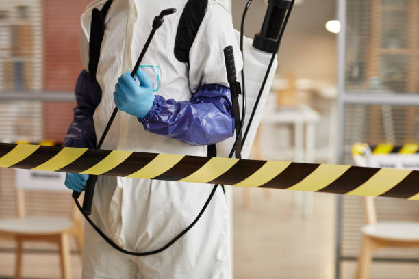 Professional Sewage Cleanup technician working in Kirkersville, OH